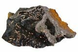Orange Crocoite Crystals On Goethite - Tasmania #103802-2